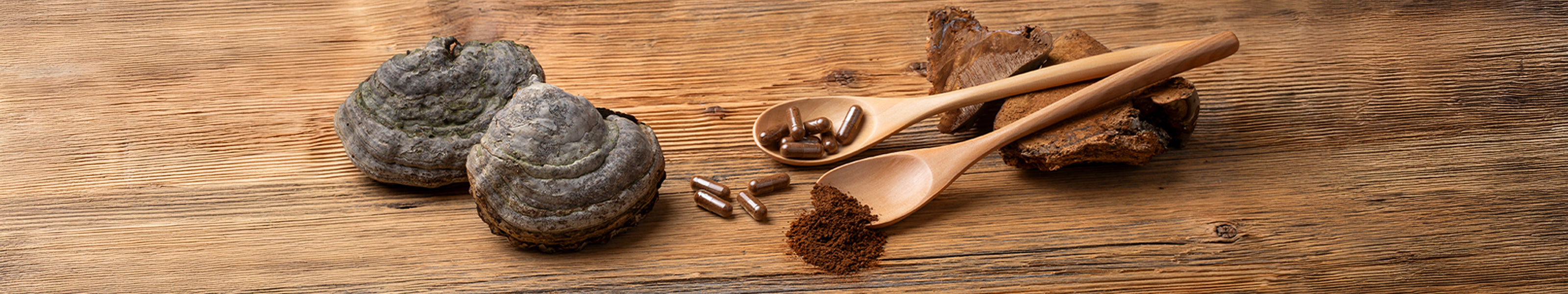 Vitalpilz Zunderschwamm mit Löffel für Kapseln und Pulver