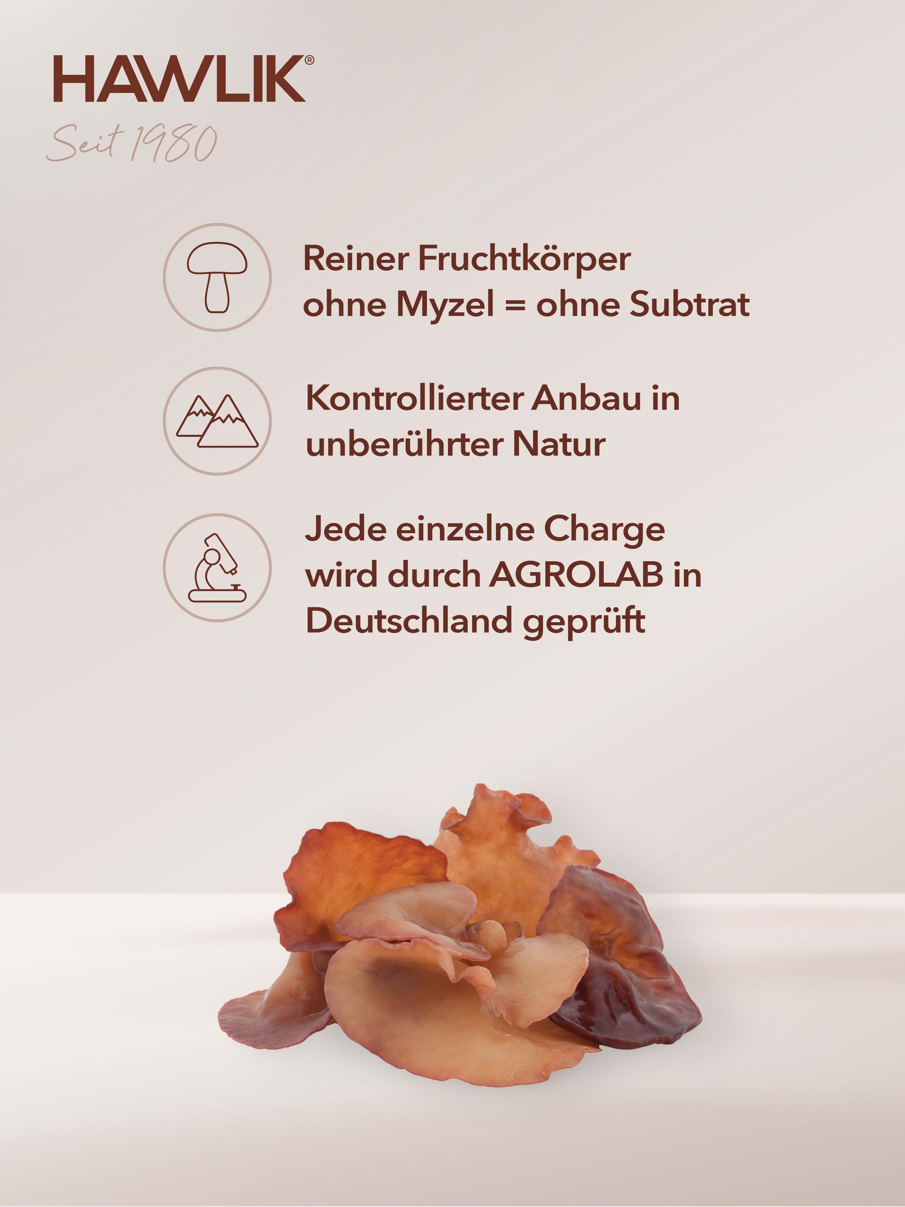 HAWLIK Organic Auricularia Powder
