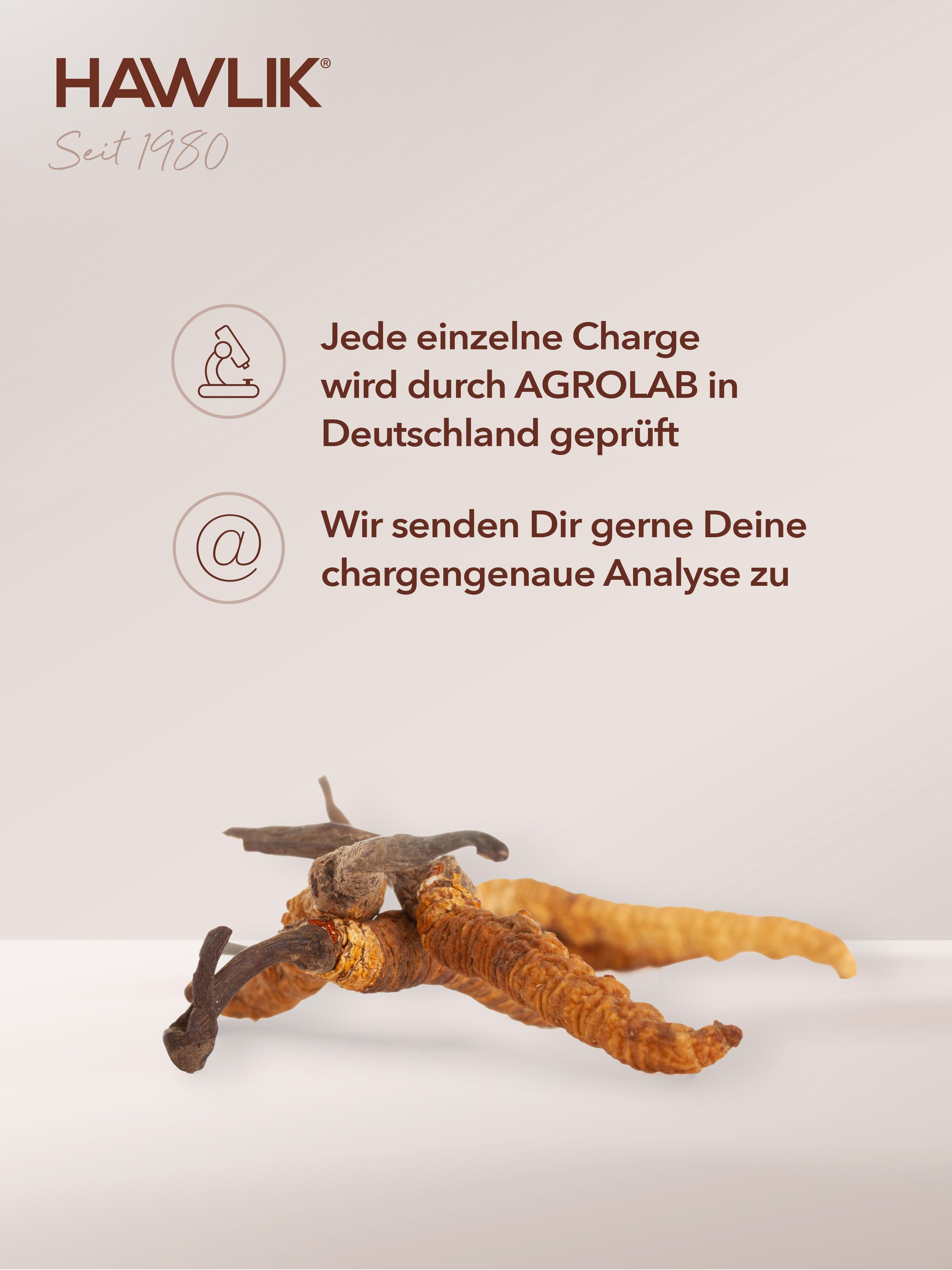 HAWLIK Cordyceps Extrakt Kapseln