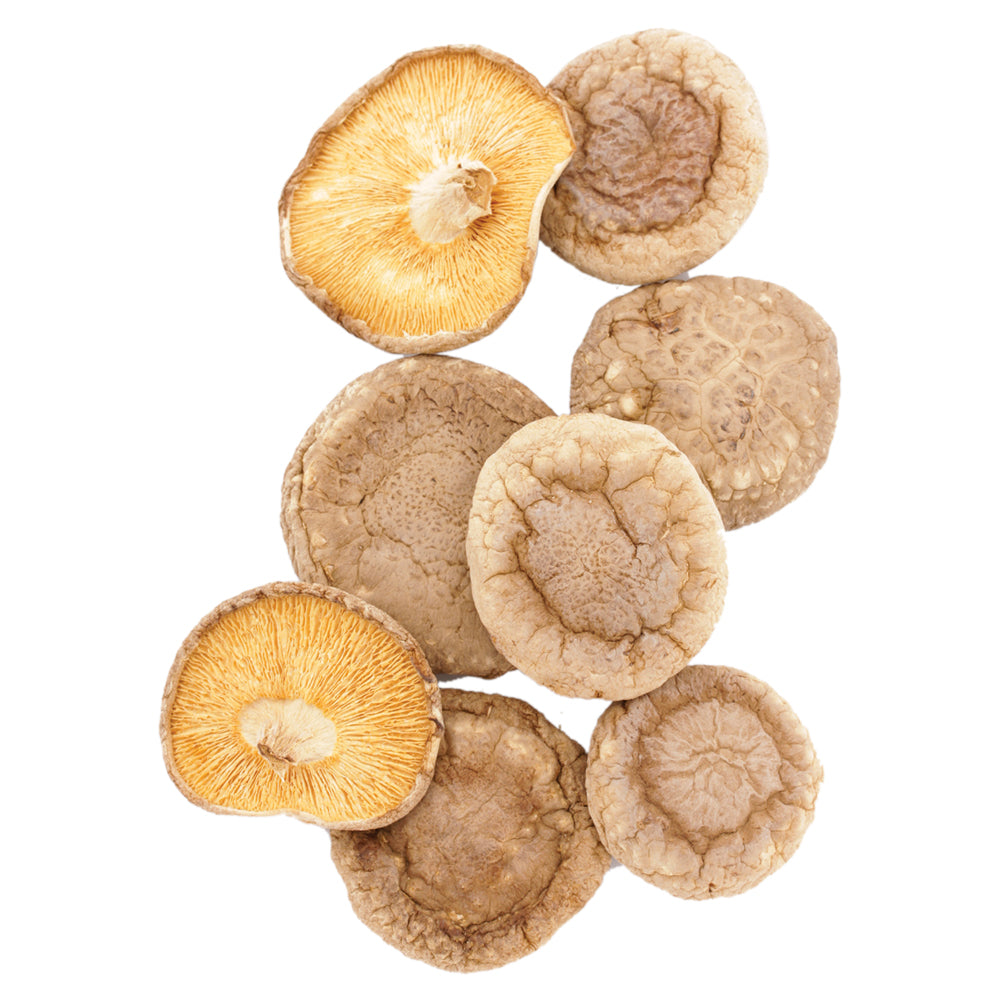 Getrocknete Pilze Steinpilze