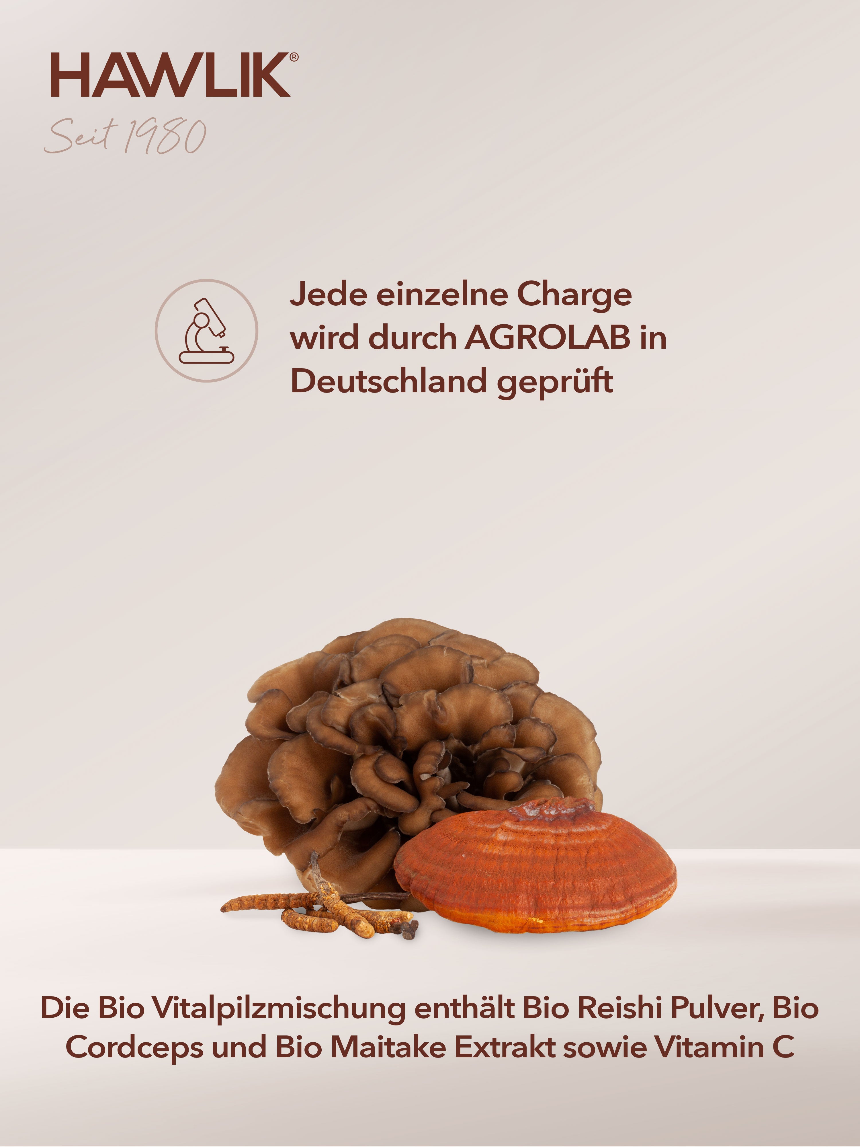 HAWLIK Sport + Active Medicinal Mushroom Mixture