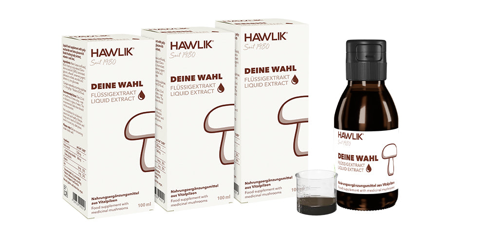 Verpackung von Flüssigextrakten in nachhaltiger Glasverackung von Vitalpilzen