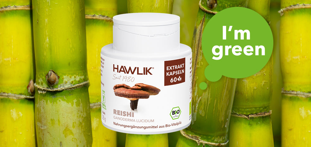 HAWLIK Reishi Dose als Beispiel für Zuckerrohdosen und Nachhaltigkeit