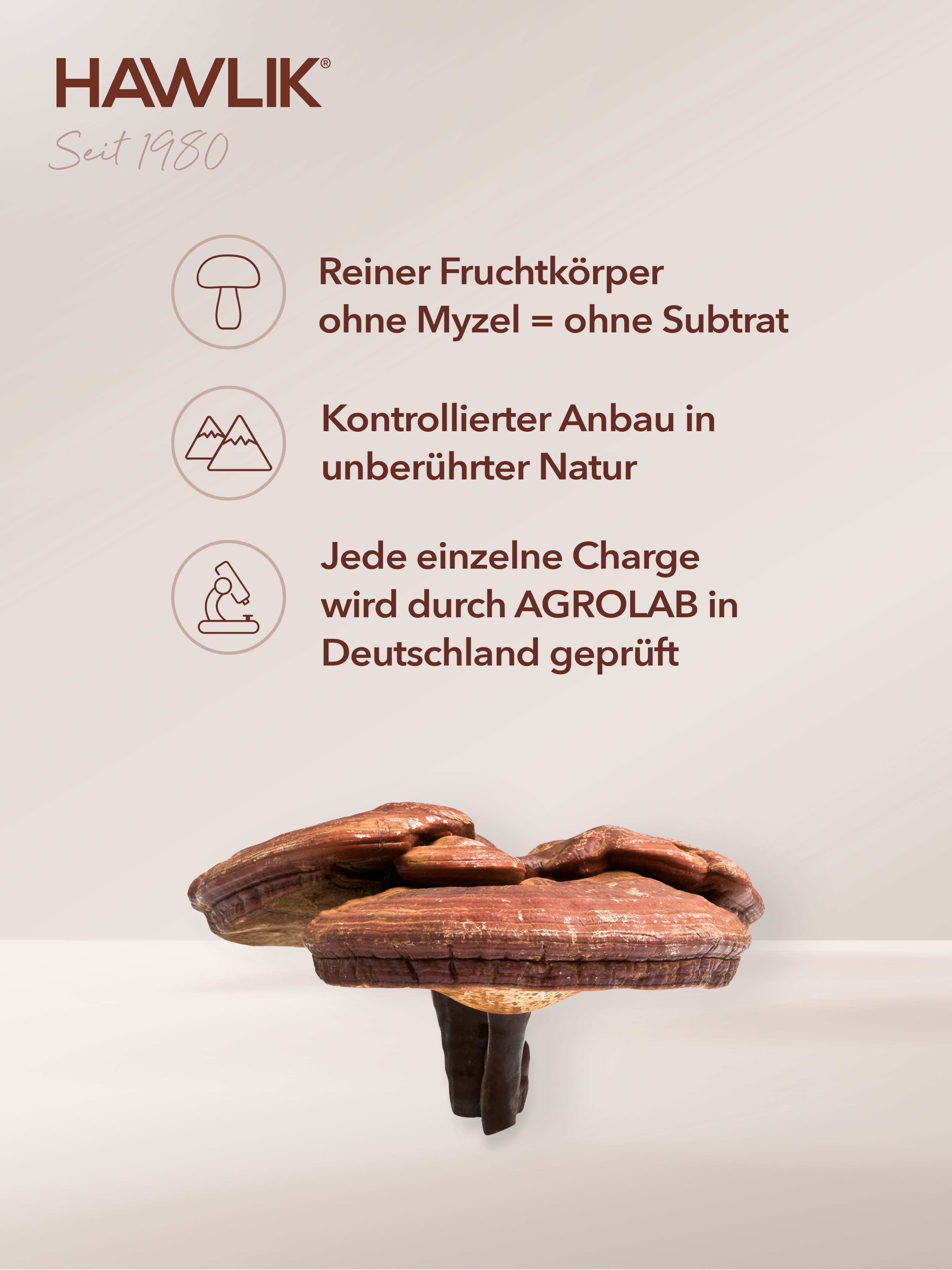 HAWLIK Bio Reishi Extrakt + Pulver Kapseln