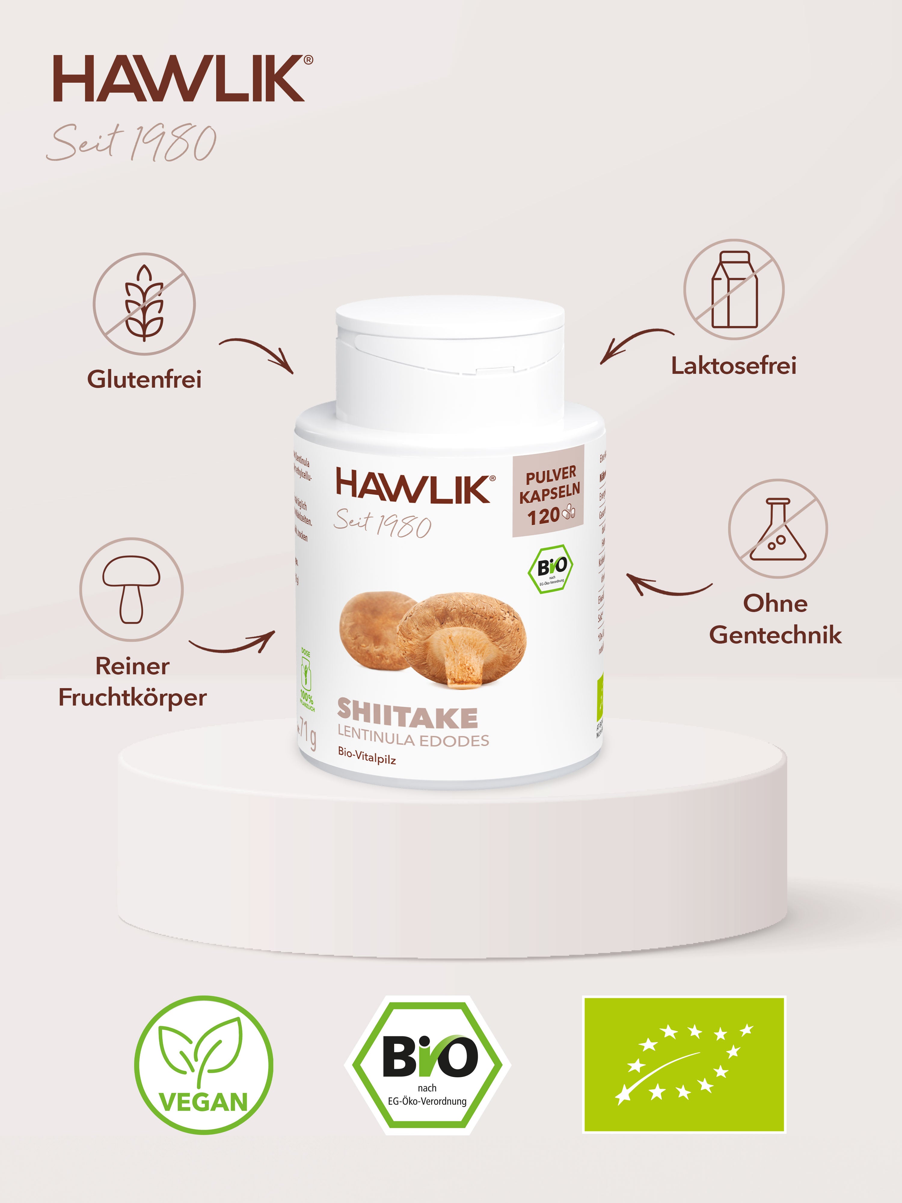 Bio Shiitake Pulver Übersicht: Glutenfrei, laktosefrei, reiner Fruchtkörper, ohne Gentechnik hergestellt.