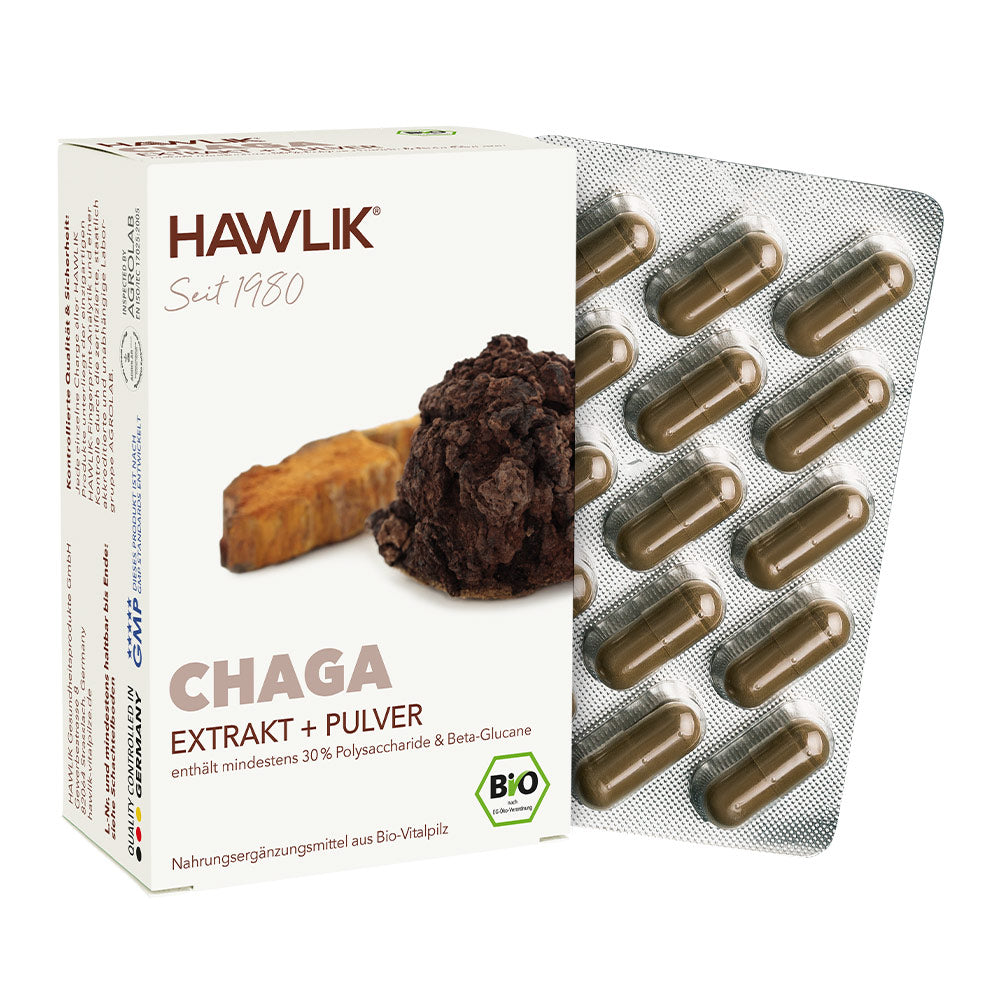 Chaga Verpackung Extrakt und Pulver mit Blister