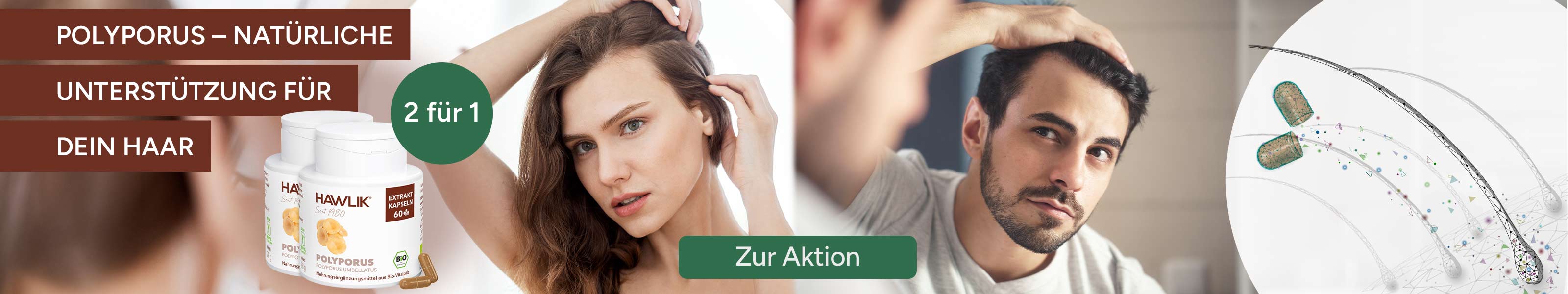 Polyporus 2 für 1 Aktion