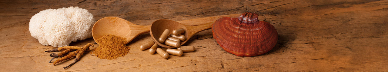 HAWLIK Vitalpilze