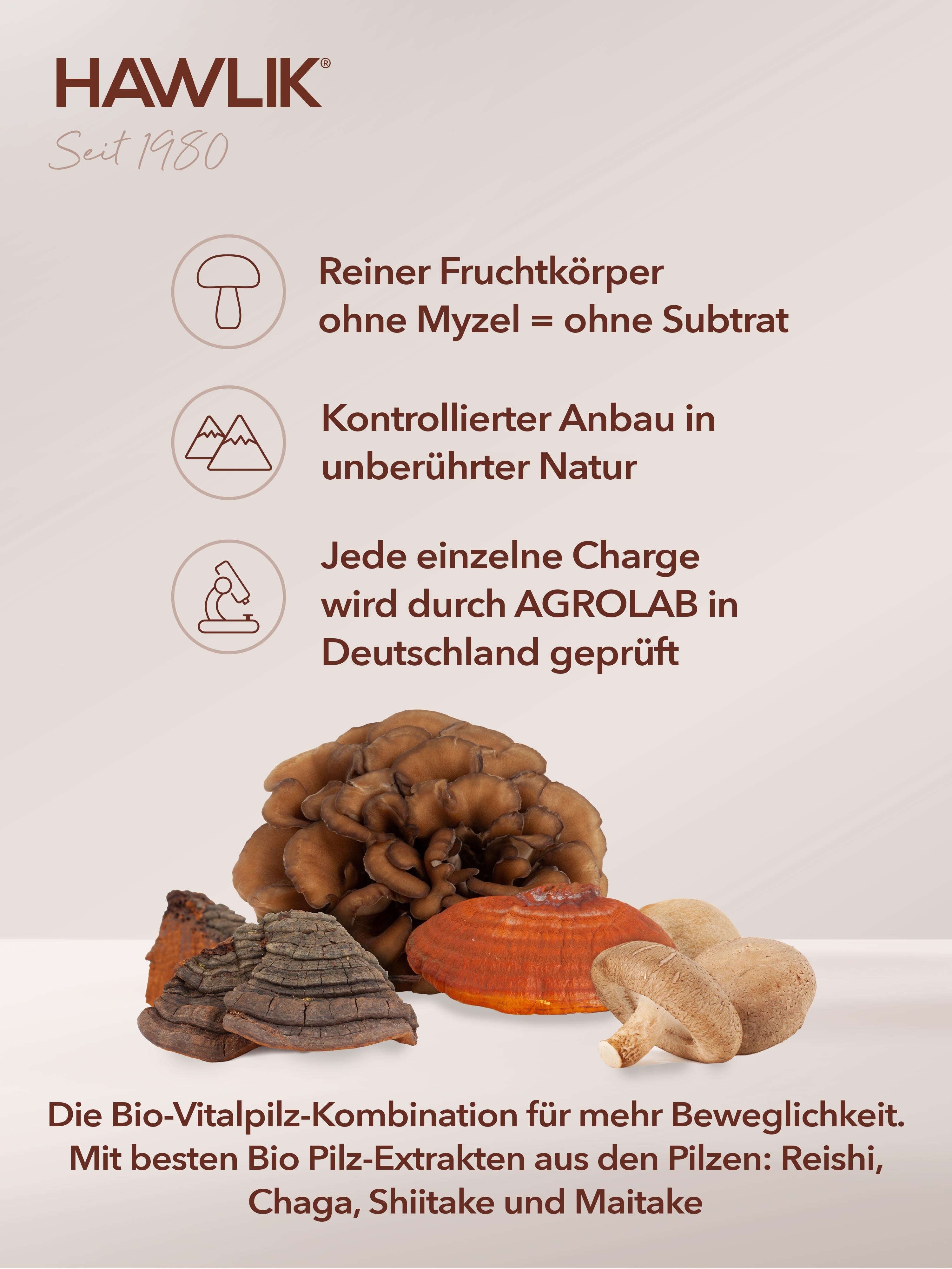 HAWLIK Mobility Medicinal Mushroom Mixture