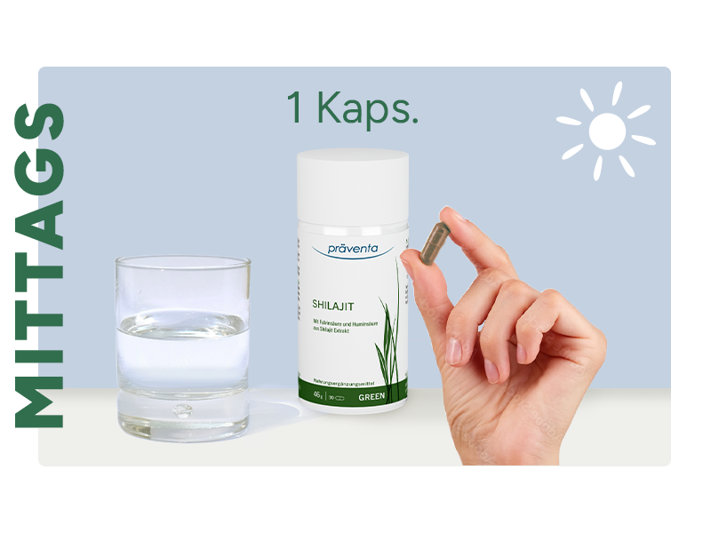 Verzehrempfehlung Mittags 1 Kapsel Shilajit