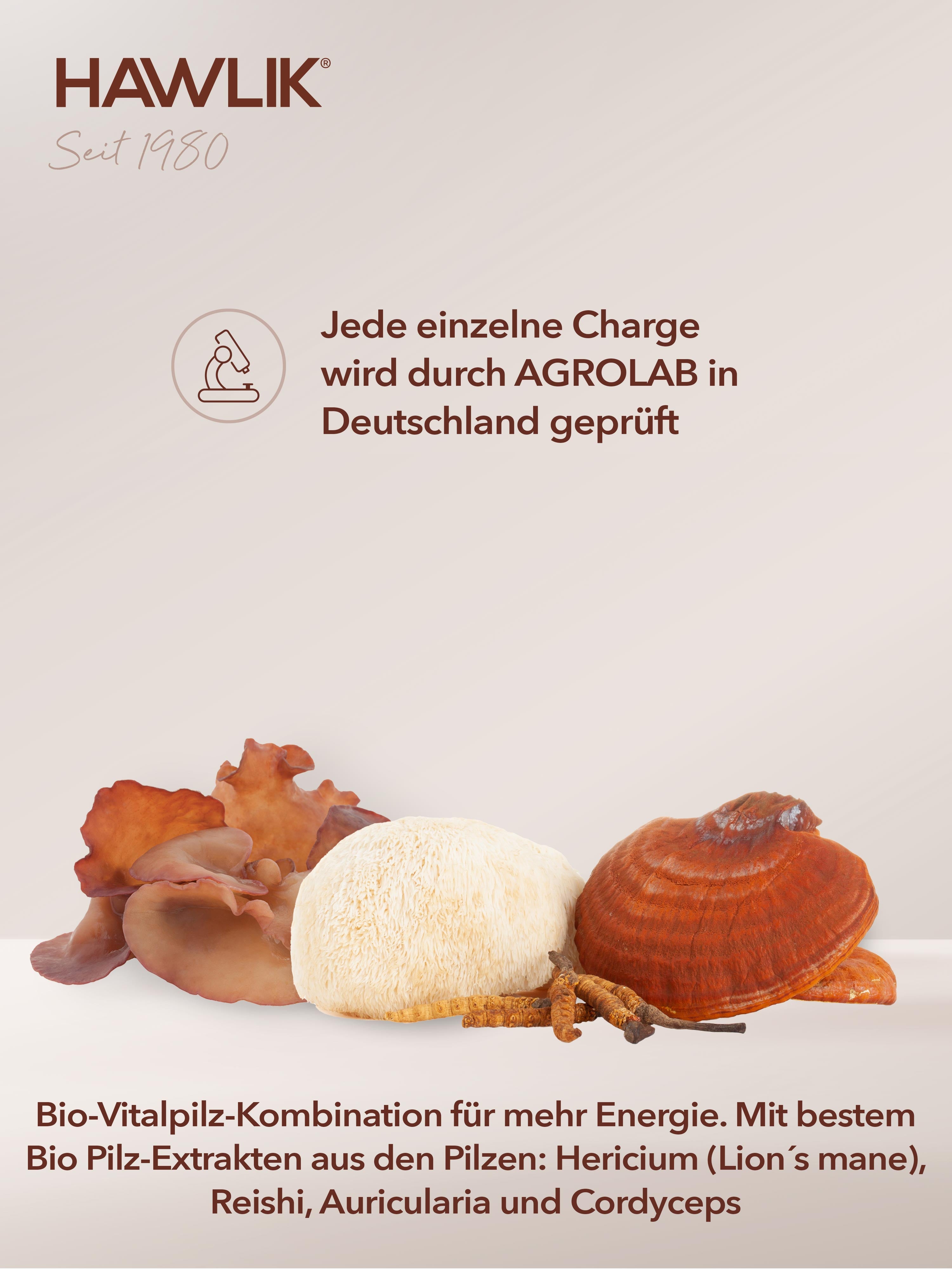 HAWLIK Energy Medicinal Mushroom Mix
