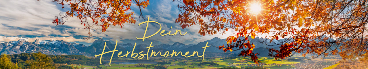 Dein Herbsmoment