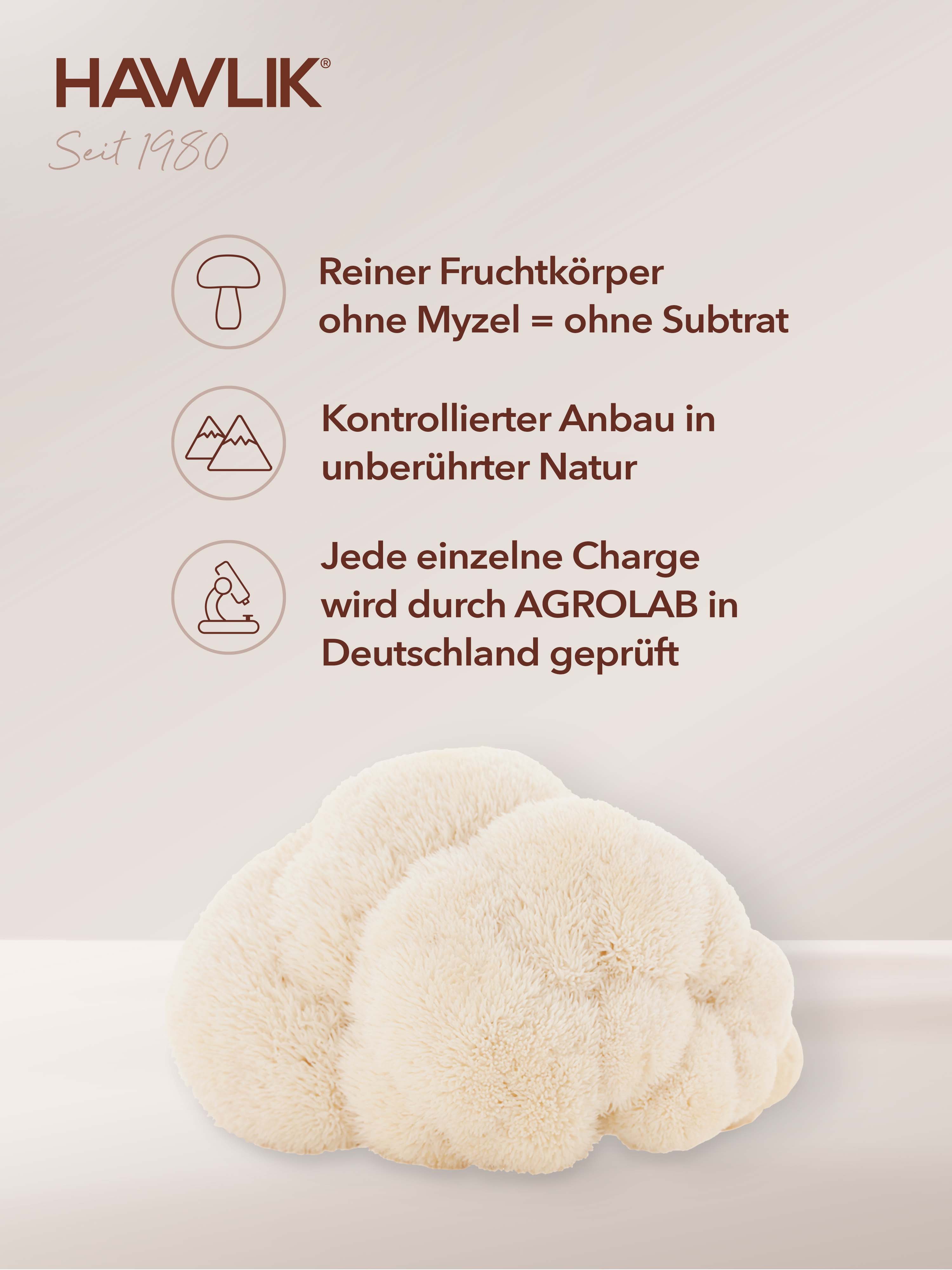 HAWLIK Bio Hericium Pulver Kapseln