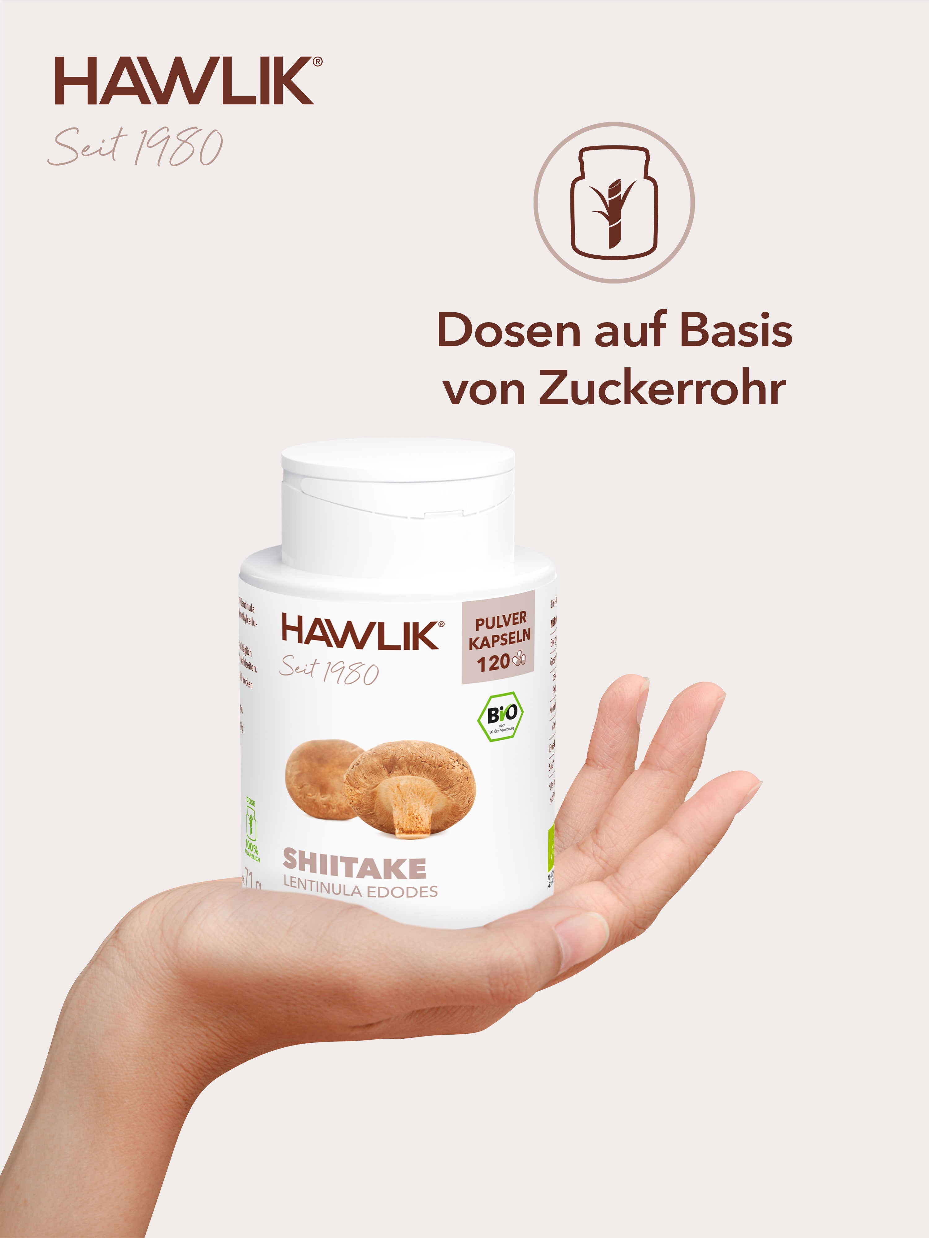 Bio Shiitake Pulver Kapseln Dose aus Zuckerrohr