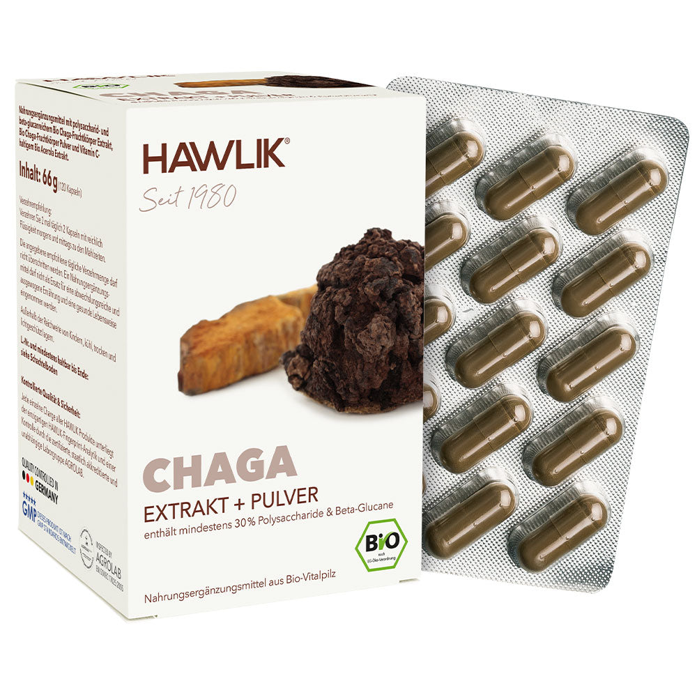 Chaga Verpackung Extrakt und Pulver mit Blister