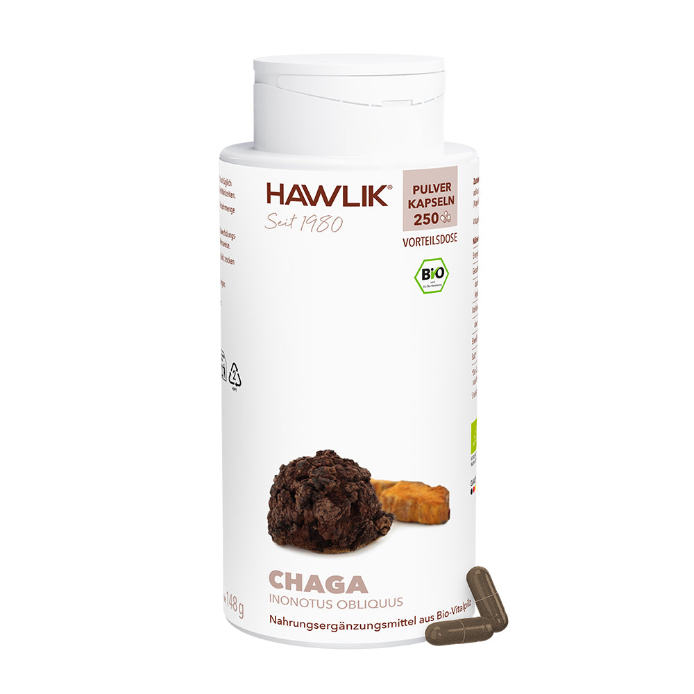 Dose Hawlik 250 Chaga Pulver Kapseln