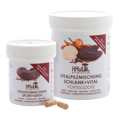 Vitalpilz­mischungen