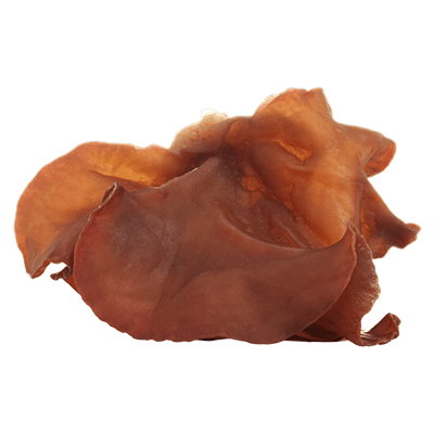 Auricularia