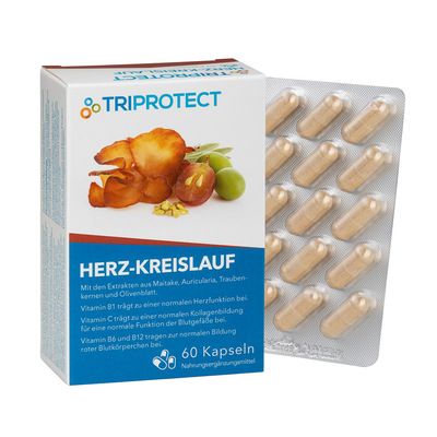 Herz-Kreislauf