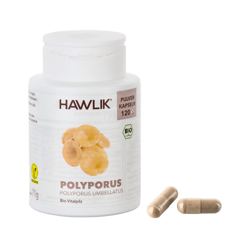 HAWLIK Bio Polyporus Pulver Kapseln 120