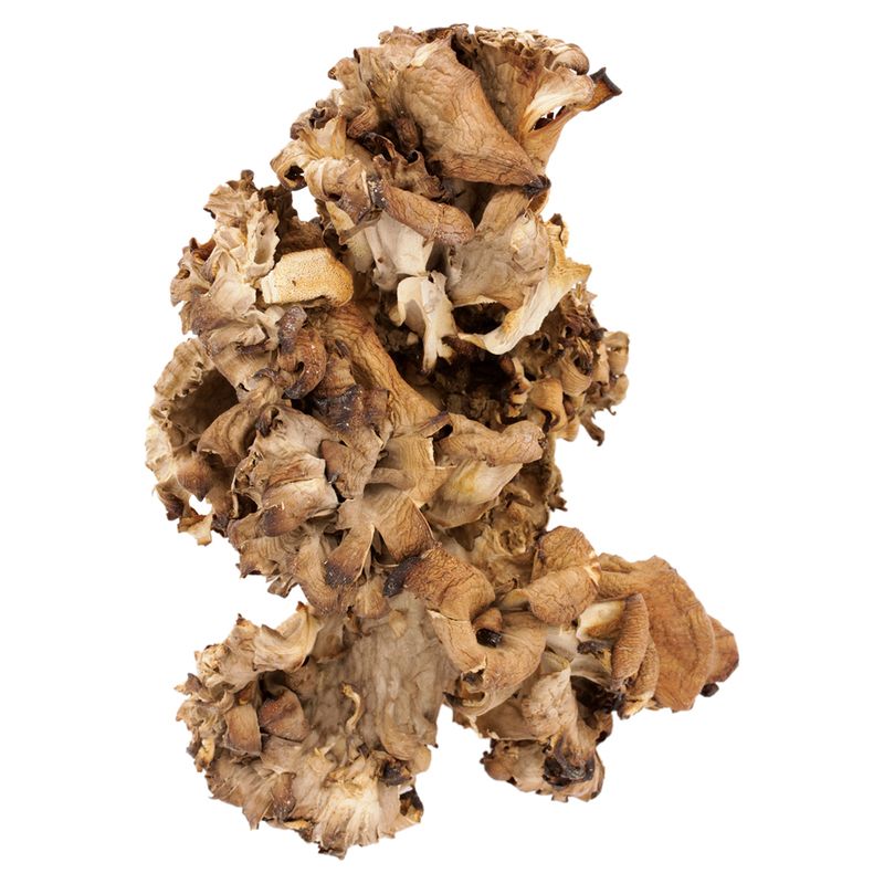 Bio-Maitake getrocknet 250g