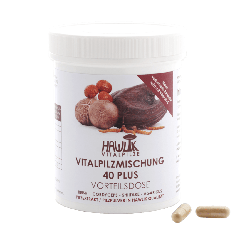 HAWLIK 40 plus Vitalpilzmischung Vorteilsdose