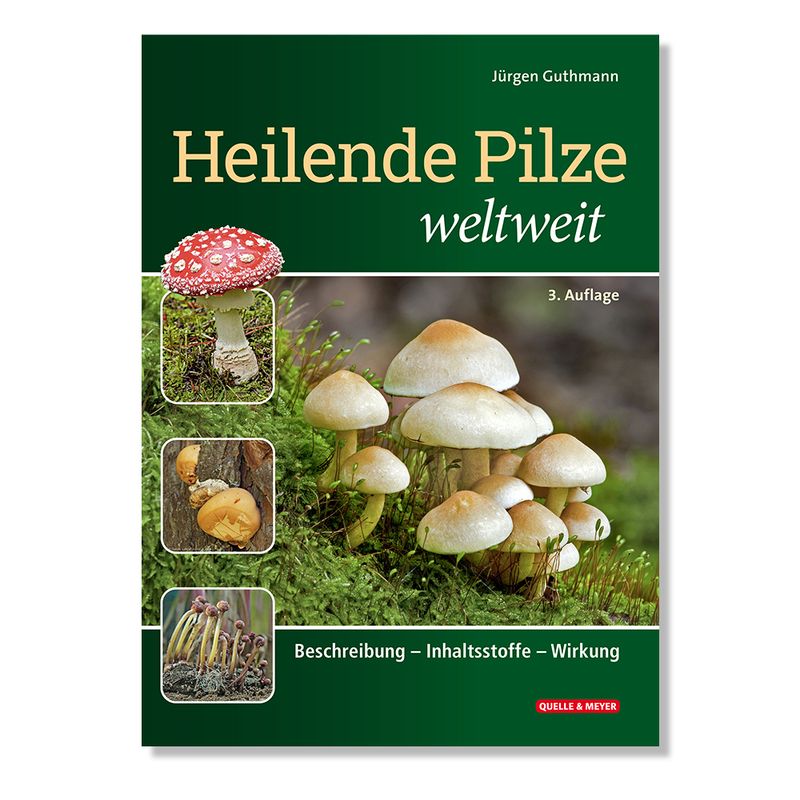 Buch - Heilende Pilze