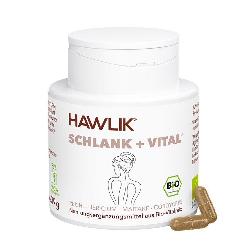 Schlank + Vital Bio Vitalpilzmischung 90 Kapseln