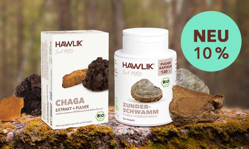 Neu in der Vitalpilzfamilie: Zunderschwamm + Chaga jetzt mit 10% Rabatt zur Einführung