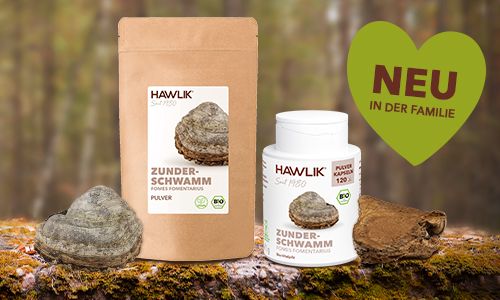 Neu in der Vitalpilzfamilie: Zunderschwamm