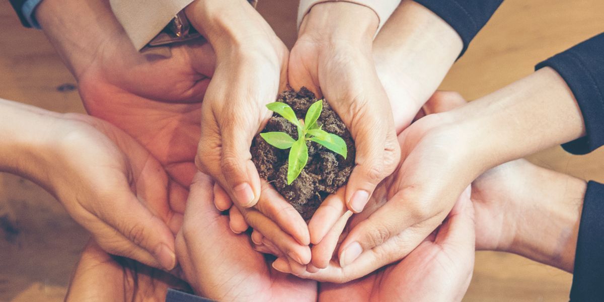 Zusammenhaltende Hände halten Erde mit Pflanze, Nachhaltigkeit