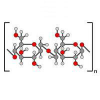 Mykopedia Polysaccharide