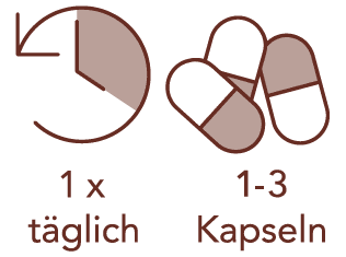 1 x täglich 1-3 Kapseln